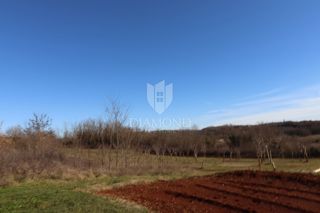 Poreč, dintorni, terreno con vista aperta immerso nella natura