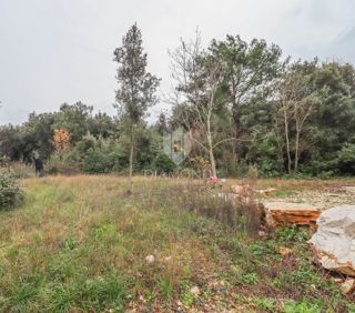 Rovigno! Terreno agricolo vicino al mare!