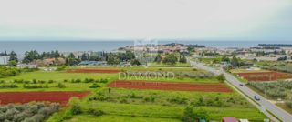Cittanova, ampio terreno per investimento
