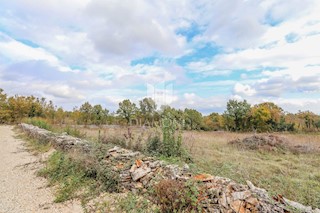 Marčana, dintorni, ottimo terreno in un posto tranquillo