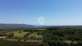 Barban, ampio terreno edificabile con vista sul mare