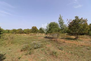 Svetvinčenat, ottimo terreno edificabile!