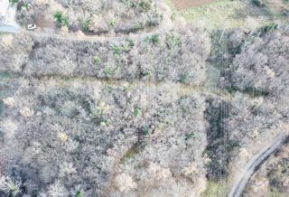 Parenzo, dintorni, terreno marginale in un posto tranquillo