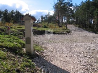 Terreno speciale immerso nella natura con documentazione