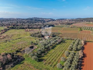 Rovigno, terreno coltivato con casa legalizzata