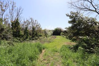 Terreno edificabile a Dignano: ottima opportunità!