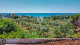 Umago, dintorni - casa moderna in prima fila sul mare!