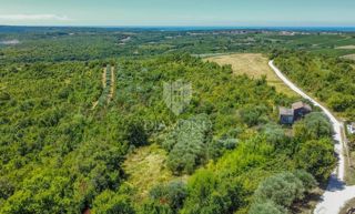 Buie, Crassiza, terreno 2.000 m² con vista aperta e progetto!