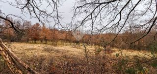 Žminj, ampio terreno per nuovi progetti