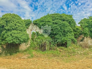 Savudrija, terreno edificabile 3,5 km dal mare!