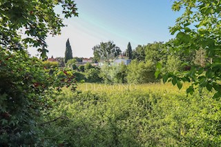 Žminj, terra di grande potenziale nel centro della citta