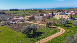 Terreno Novigrad, 1.260m2