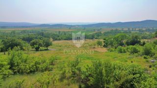Kršan, dintorni, terreno edificabile immerso nella natura