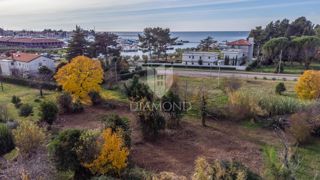 In Esclusiva! Cittanova, terreno in posizione eccezionale!