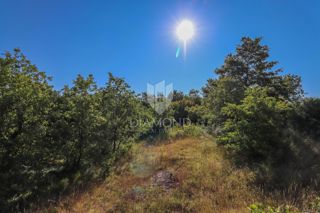 Svetvinčenat, ottimo terreno edificabile!