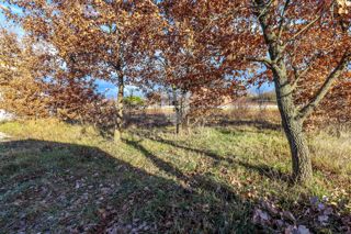 Rovigno, dintorni, terreno per investimento - nuova casa/3 appartamenti