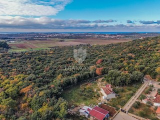 Rovigno, ottima casa con ampio giardino