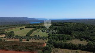 Barban, ampio terreno edificabile con vista sul mare