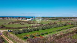 Umago, terreno edificabile perfetto per investimento di 3.700 m2 vicino alla città e al mare!