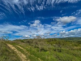 Istria, Buie, dintorni - opportunità di investimento!