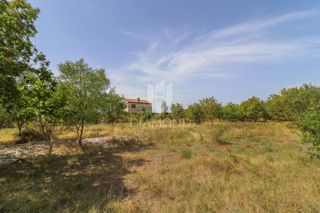 Svetvinčenat, splendido terreno edificabile in posizione idilliaca!