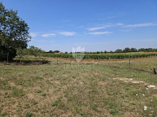 Zona di Parenzo, terreno edificabile ai margini della zona