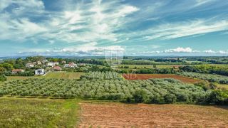 Zona di Umago, terreno con potenziale di investimento a 450 m dal mare!