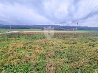 Parenzo, dintorni, terreno edificabile di giusta abbondanza!