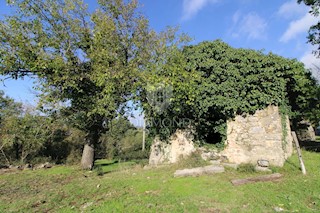 Boljun, dintorni, casa in pietra da adattare