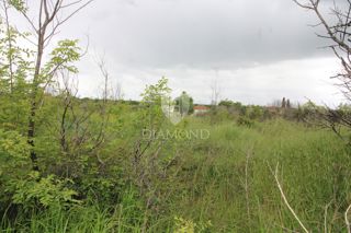 Liznjan, dintorni, terra attraente