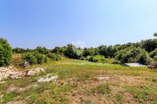 Rovigno, dintorni, ampio terreno per la costruzione di diversi edifici
