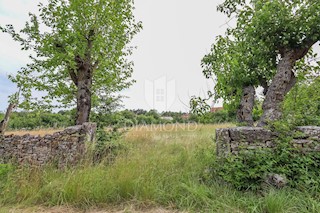 Ampio terreno vicino a Gimino - Ideale per investimento!