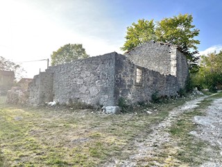 RUDERE CON AMPIO TERRENO