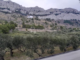 Terreno Brela, 1.100m2