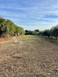 Fantastico terreno a Premantura