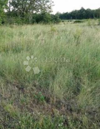 Terreno Grižane-Belgrad, Vinodolska Općina, 2.196m2