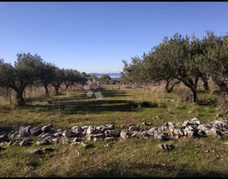 Terreno agricolo Ložišća, Milna, 8.500m2