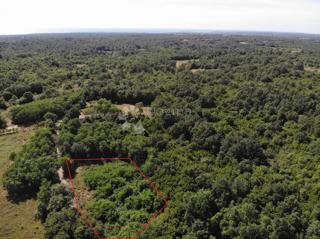 Terreno edificabile Poreč, 1.033m2
