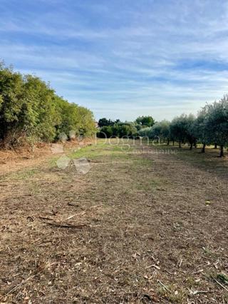 Fantastico terreno a Premantura