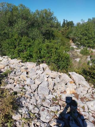 Terreno edificabile Božava, Sali, 581m2