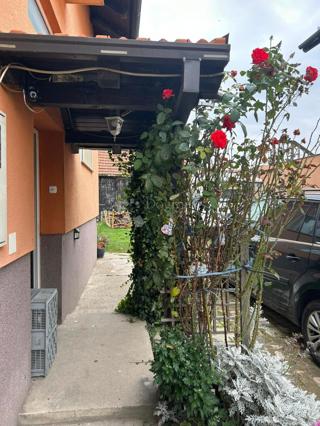 Casa Petruševec, Peščenica - Žitnjak, 200m2