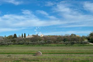 Terreno Mrgani, Kanfanar, 2.593m2