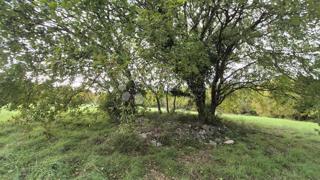 Superficie edificabile 574 m2 + area agricola 10325 m2 a Valtura