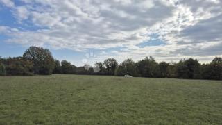 Terreno agricolo Pusti, Svetvinčenat, 8.182m2