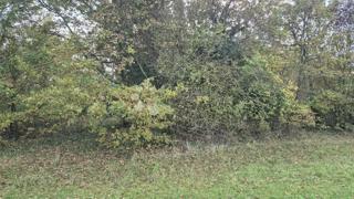 Terreno agricolo Pusti, Svetvinčenat, 8.182m2