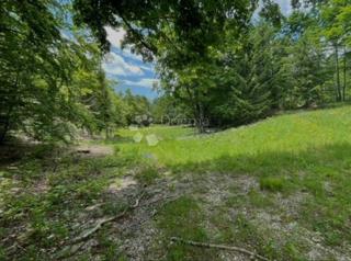 Terreno Bribir, Vinodolska Općina, 66.147,82m2