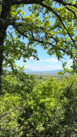 Terreno agricolo Drniš, 60,99m2