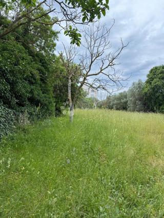 Terreno edificabile Peroj, Vodnjan, 1.336m2