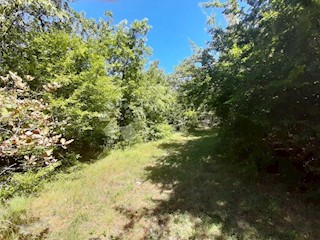 Terreno Barban, 7.932m2