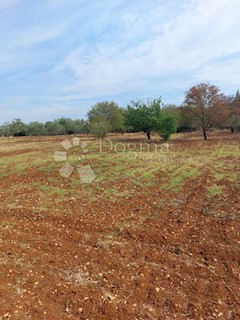 Terreno Vodnjan, NE, 2.000m2